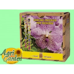 Concime SPECIALE ORCHIDEE Scatola g 250 Idrosolubile
